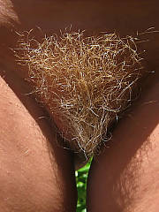 Porn Video