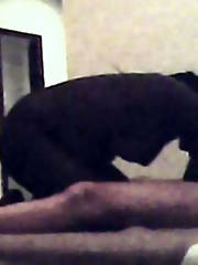 Moanas loverboy again caught interracially by a surveillance camera having some fun with a jungle queen.