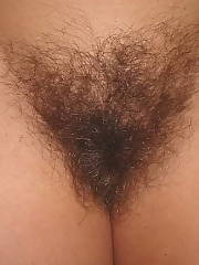 milf unshaved mature undresses