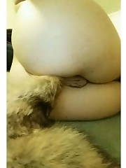 blowjob tits