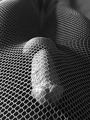 black leggings fishnet stockings