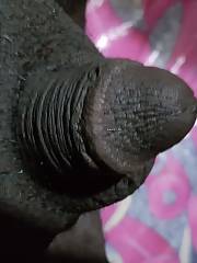 Tiny little black sissy clitty