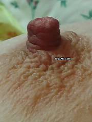 wife melons puffies