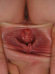 fat shaved vagina closeup